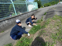 P1050571