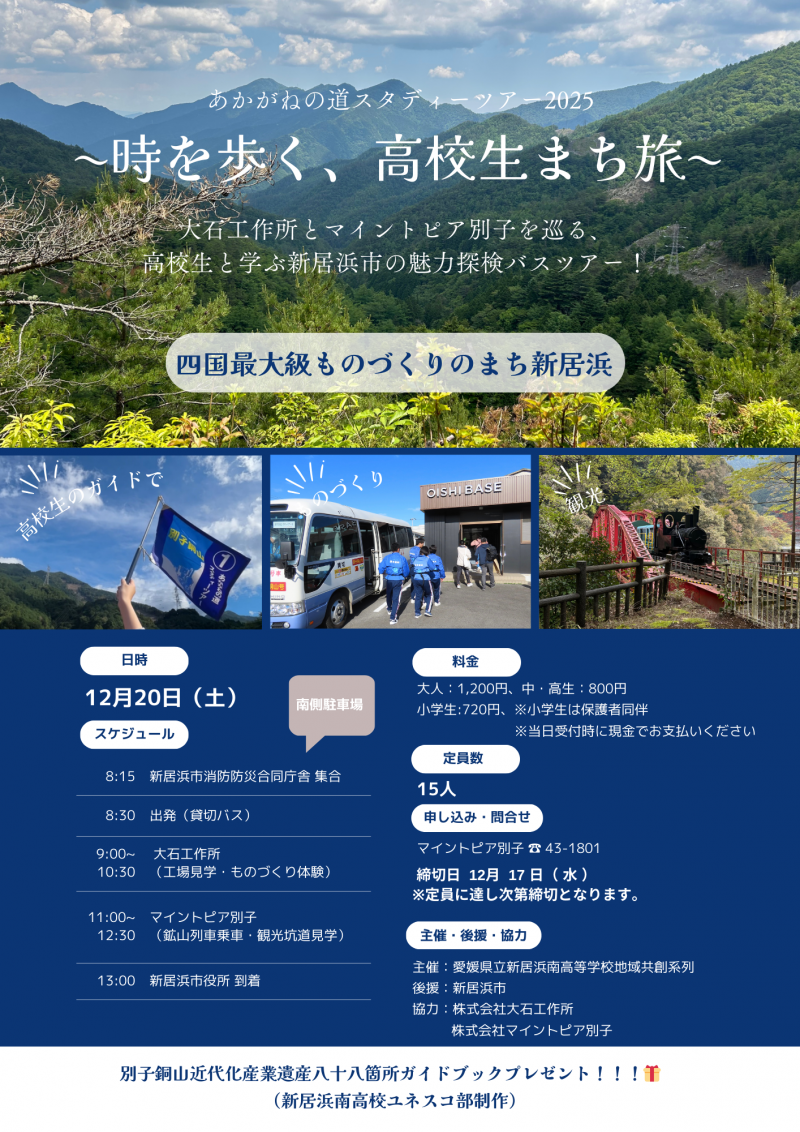 ネイビー　青　白　星　旅行　ツアー　フライヤー　チラシ(縦)