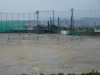 P1100029