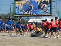 P1070568