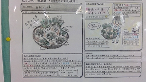 西条市の特産品まで多数取り揃えております。