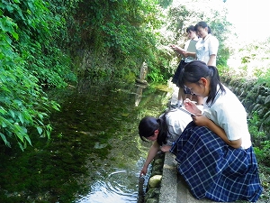 湧き水冷たい！