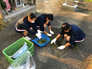 お稲荷さんの周りの草引きをしてキレイに！