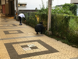 中の植え込みにまで目を向けてゴミを探しています。