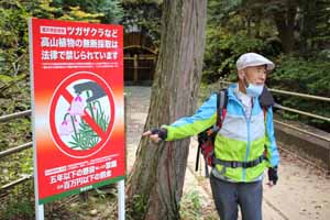 ツガザクラ盗掘禁止の看板ができました