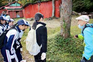 別子銅山に自生する植物についても学びました