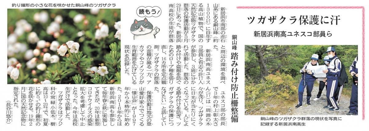 20210602　【ユネスコスクール】愛媛新聞　ツガザクラ保護に汗　新居浜南高ユネスコ部員ら　許可番号：d20210602-02