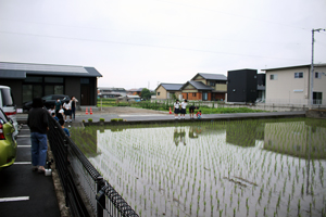 田んぼで水中の生きものについて遊びながら学ぶ風景も見られました