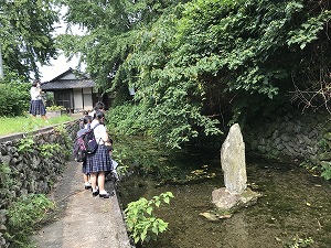 萩生寺近くの「泉大師」断層の割れ目から湧き水が出ています。縄文時代から人々に潤いを与えてくれています。