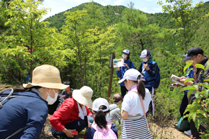 植林事業でよみがえった銅山を背景にガイドする曽我さん