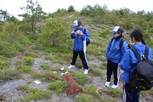 設定した範囲の植生を記録している様子