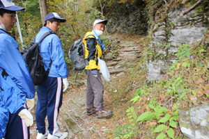 登山道に咲くミヤマリンドウ